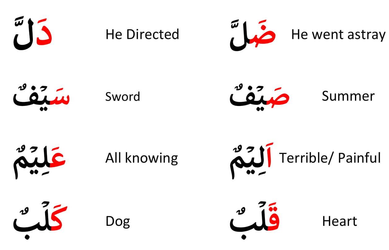 tajweed rules pdf for kids